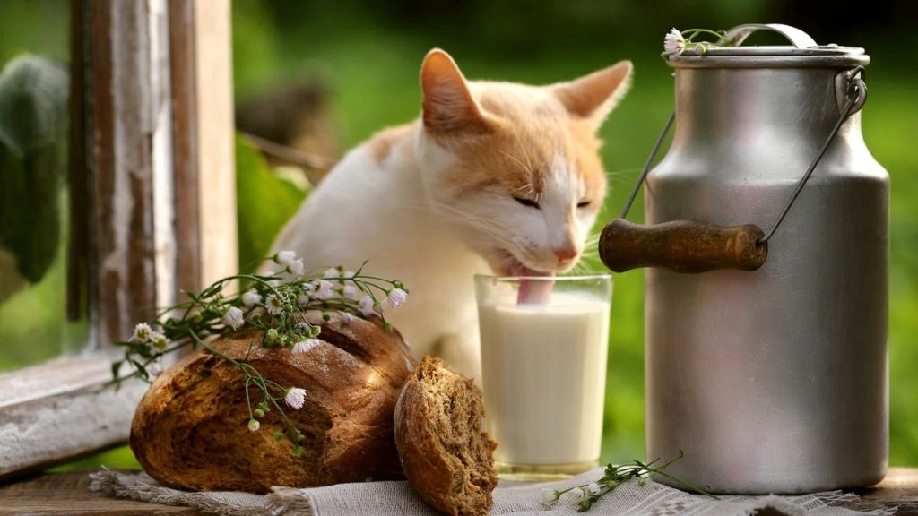 narodnykh-sredstva-protiv-bessonnitsy-ne-pomogut-3.jpg